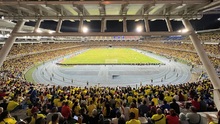 35.000 personas en el Pascual celebraron la clasificación de Colombia a la final del Suramericano 2