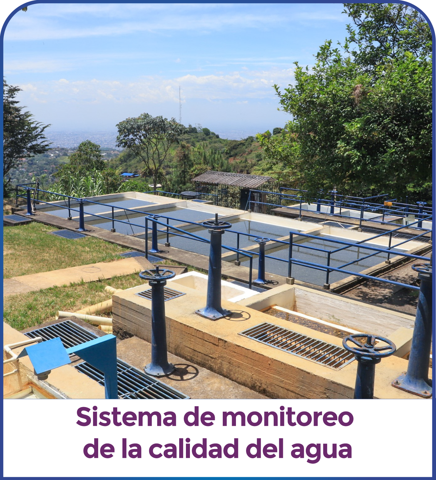 Sistema de monitoreo de la calidad del agua