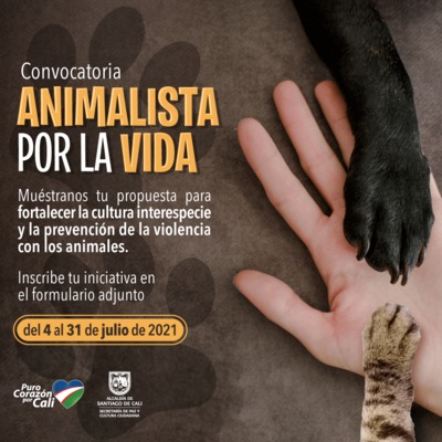 Participa en la convocatoria de Cultura Ciudadana: Animalistas por la vida