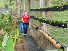 Eco huertas para la educación ambiental en el corregimiento La Leonera