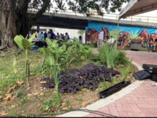 Administración de Puro Corazón por Cali entrega renovado espacio público en el barrio Centenario