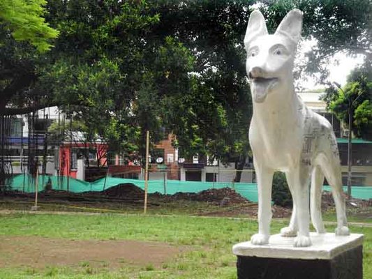 Ordenamiento Urbanístico autorizó obras en el Parque del Perro