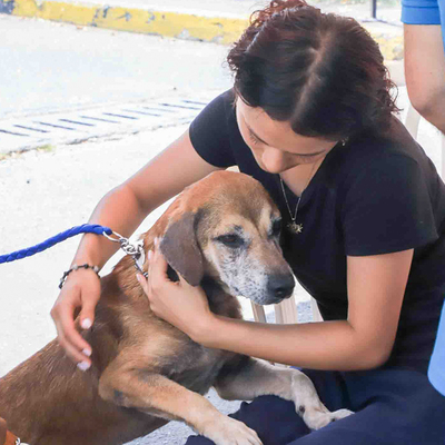 Centro de Bienestar Animal realizará su sexta jornada de adopciones