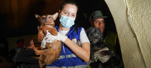 Allanan vivienda para rescatar animales víctimas de maltrato y abandono