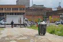 Limpieza, poda y recuperación del área de renovación urbana: unión de esfuerzos de Emru, Uaespm y Ciudad Limpia