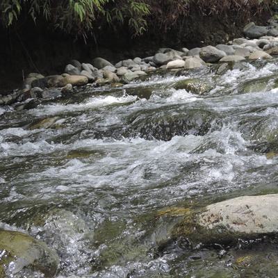 Parque Corazón de Pance: un espacio para disfrutar, aprender y proteger el agua