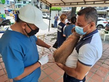 Con medidas de bioseguridad para prevenir el contagio de Covid, se desarrolló jornada de salud animal 