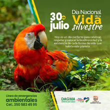 En el Día Nacional de la Vida Silvestre resaltamos la protección de la biodiversidad