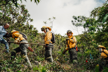 Bomberos de Cali viajan a Chile para solidarizarse con las brigadas que combaten incendios forestales