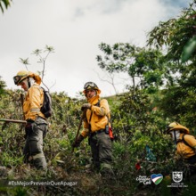 Bomberos de Cali viajan a Chile para solidarizarse con las brigadas que combaten incendios forestales