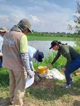 Dagma y CVC trabajan en la protección del gran banco de agua de los caleños