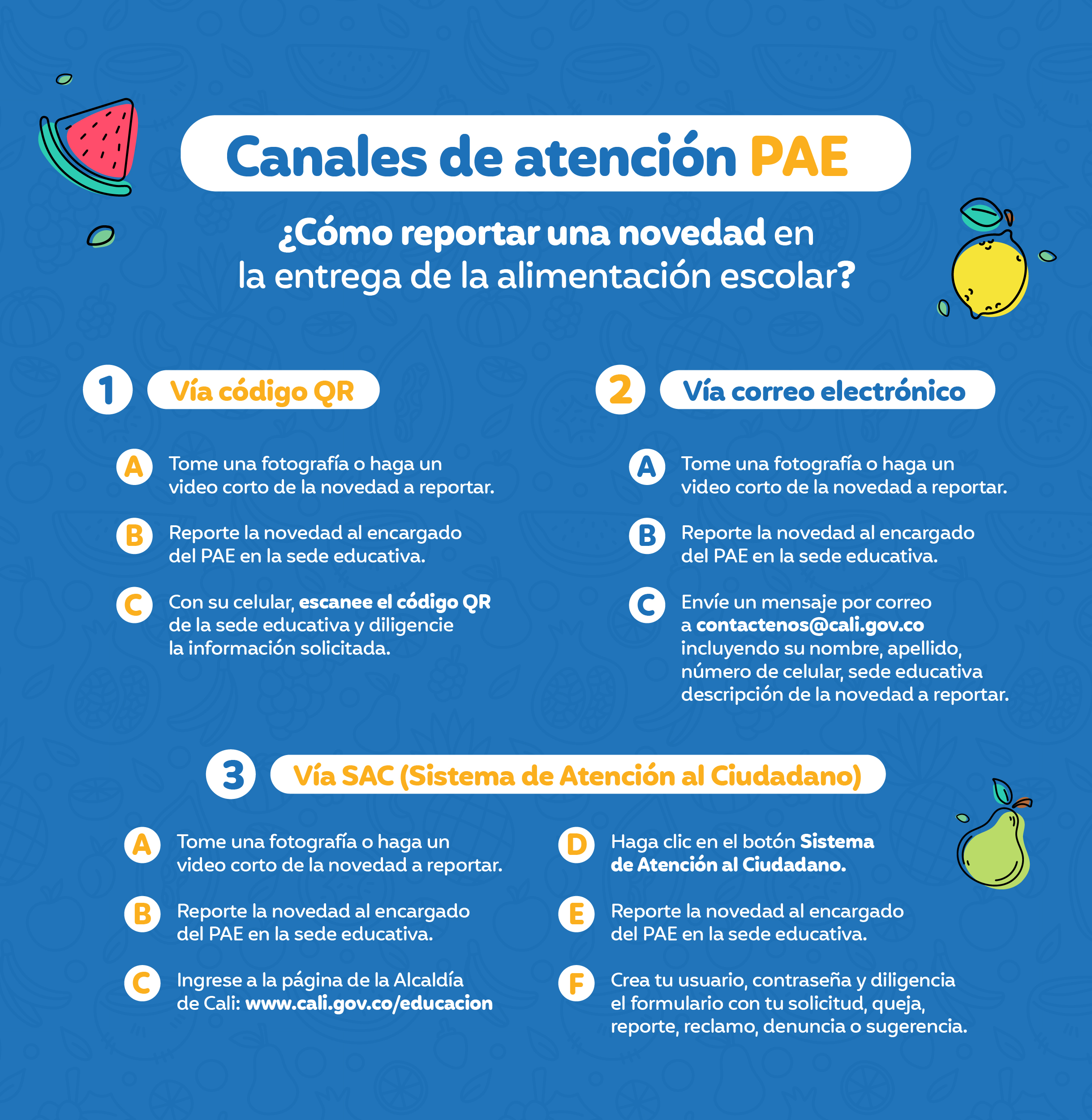 Canales de atención PAE Canales de atención PAE
