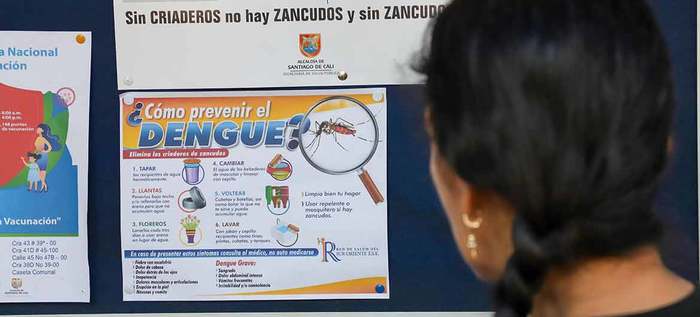 No paran acciones de salud ante aumento de dengue en Cali