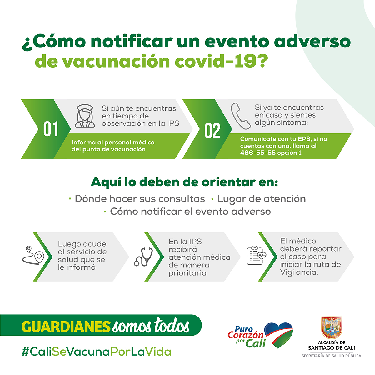 Cómo notificar un evento adverso