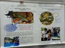 Instituciones educativas reciben información y comunicación para prevenir el dengue