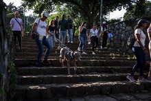 Recorrido cultural en San Antonio: mascotas hicieron parte de la celebración del ‘Día Mundial del Turismo’