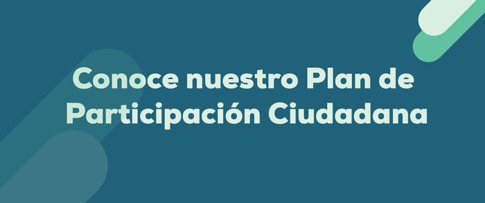 Plan de Acción de Participación Ciudadana 2020