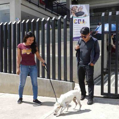 Ciudadanos podrán conocer las instalaciones del Centro de Bienestar Animal de Cali